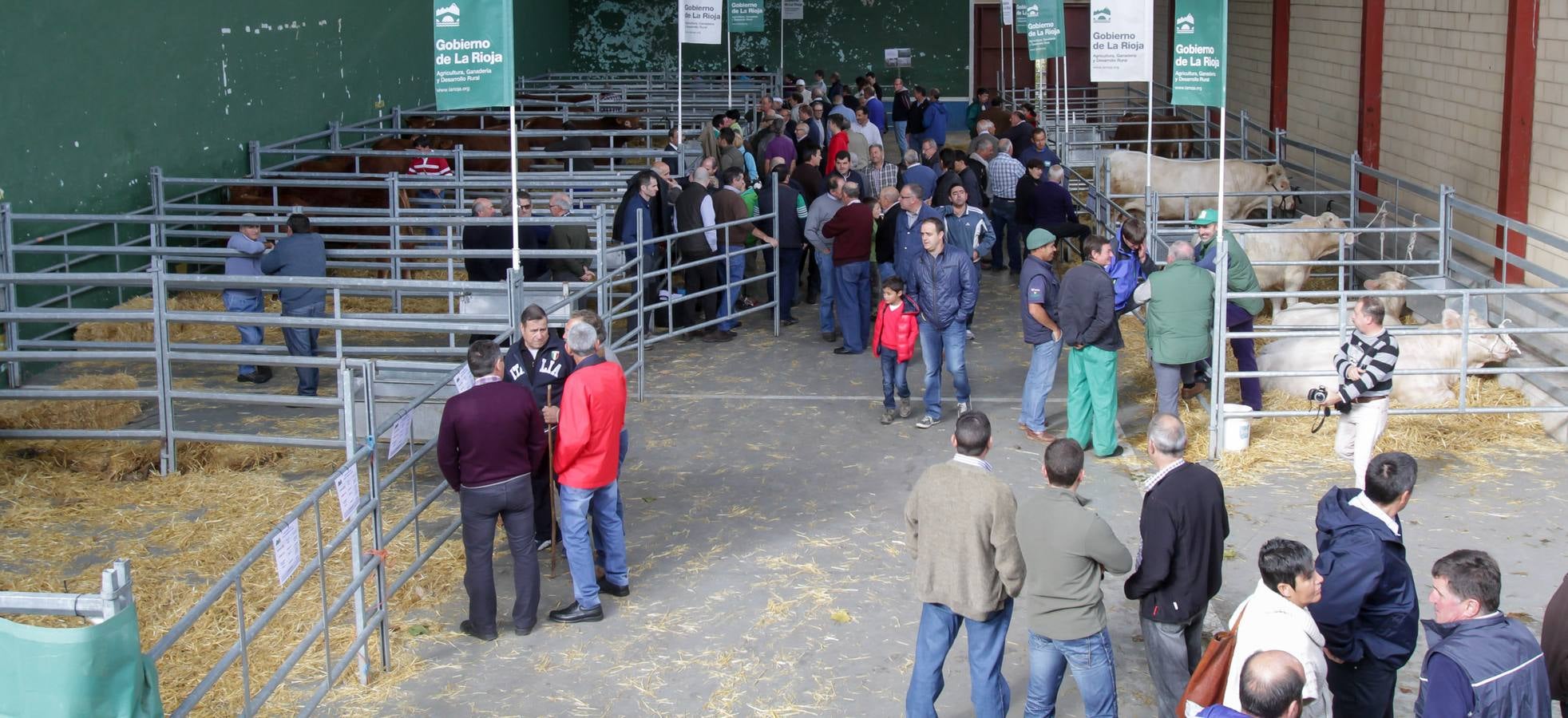 Feria de ganado en Villoslada