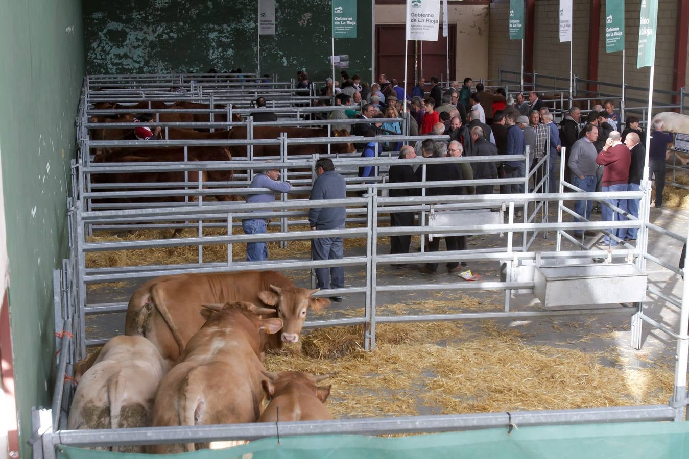 Feria de ganado en Villoslada