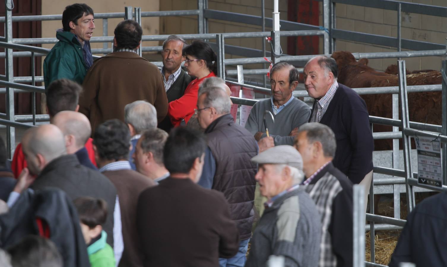 Feria de ganado en Villoslada