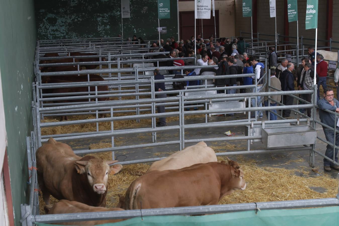 Feria de ganado en Villoslada