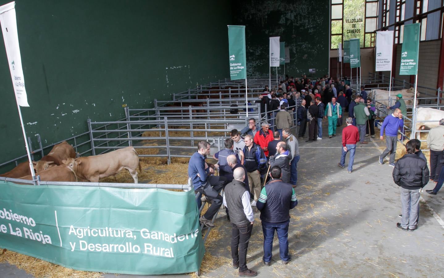 Feria de ganado en Villoslada