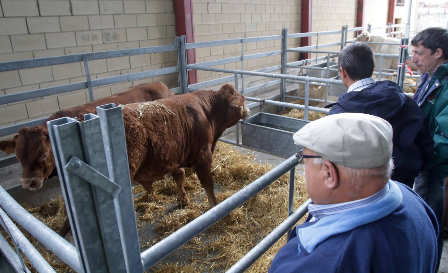 Feria de ganado en Villoslada