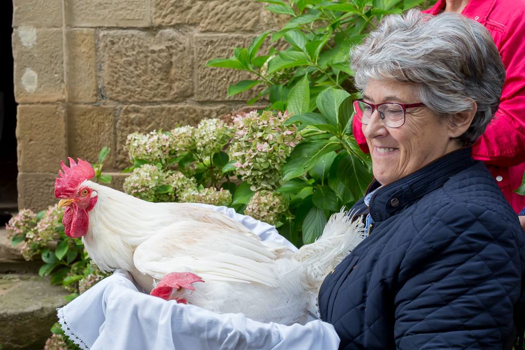 Santo Domingo recuerda el milagro del gallo y la gallina con una romería