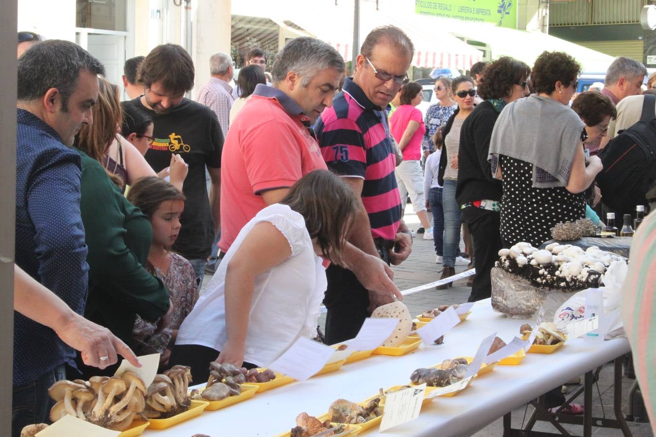 Semana de las Ciencias Naturales en Arnedo