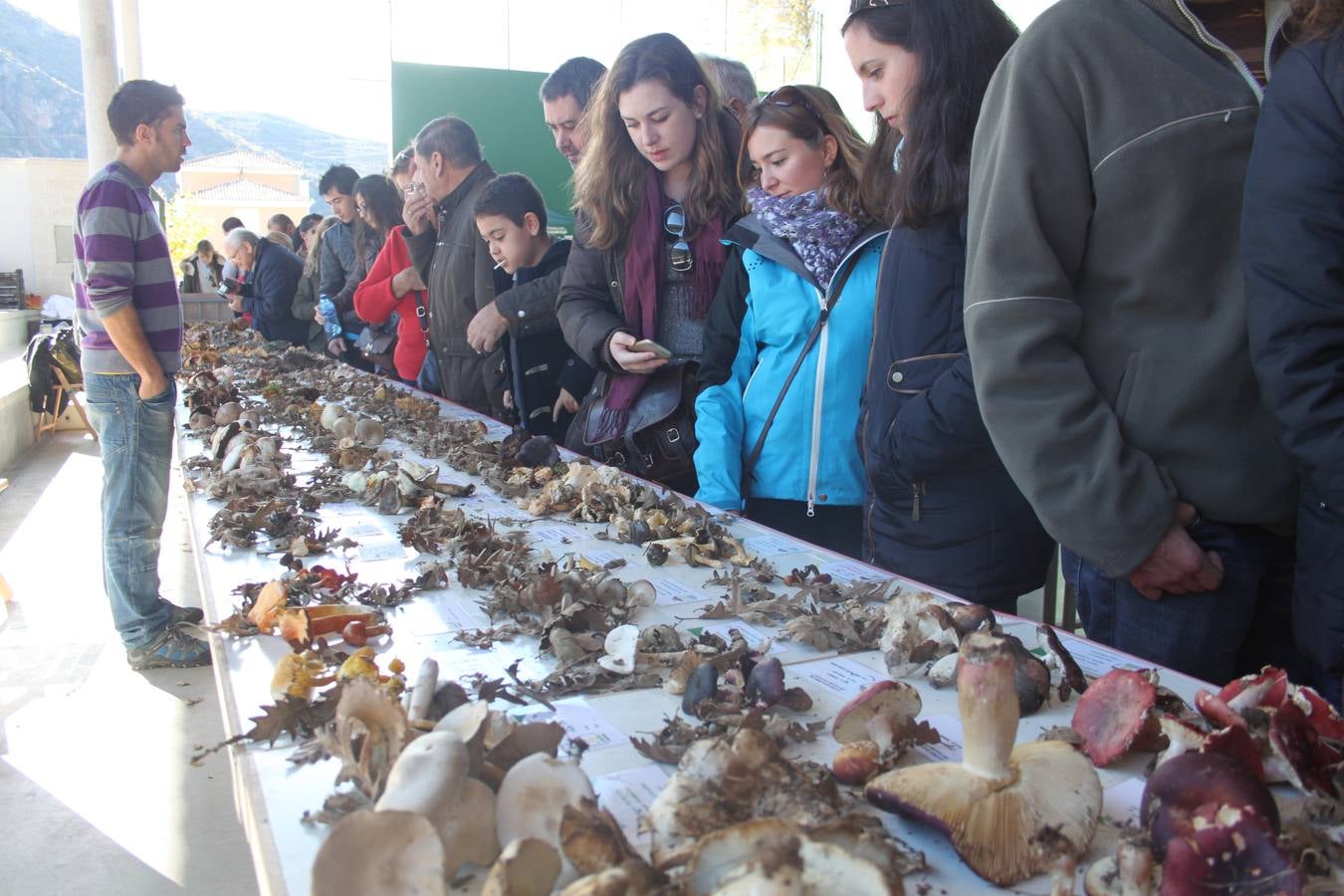 Jornadas micológicas de Arnedillo