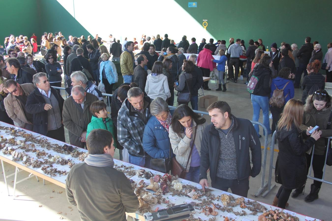 Jornadas micológicas de Arnedillo