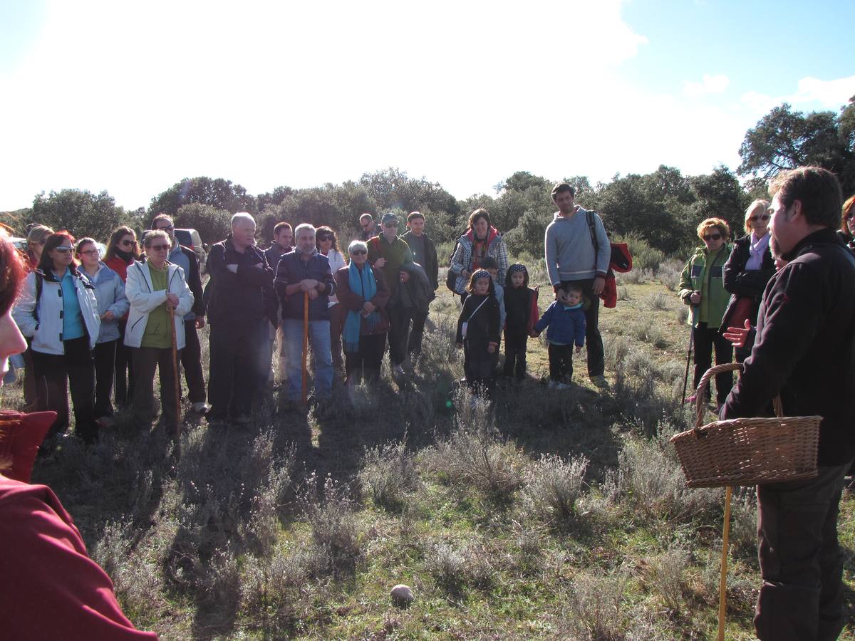 XXI Jornadas micológicas de Villarroya (I)