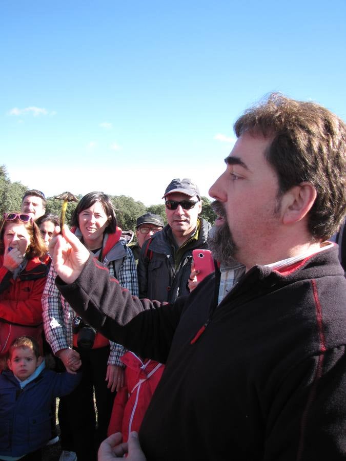 XXI Jornadas micológicas de Villarroya (I)