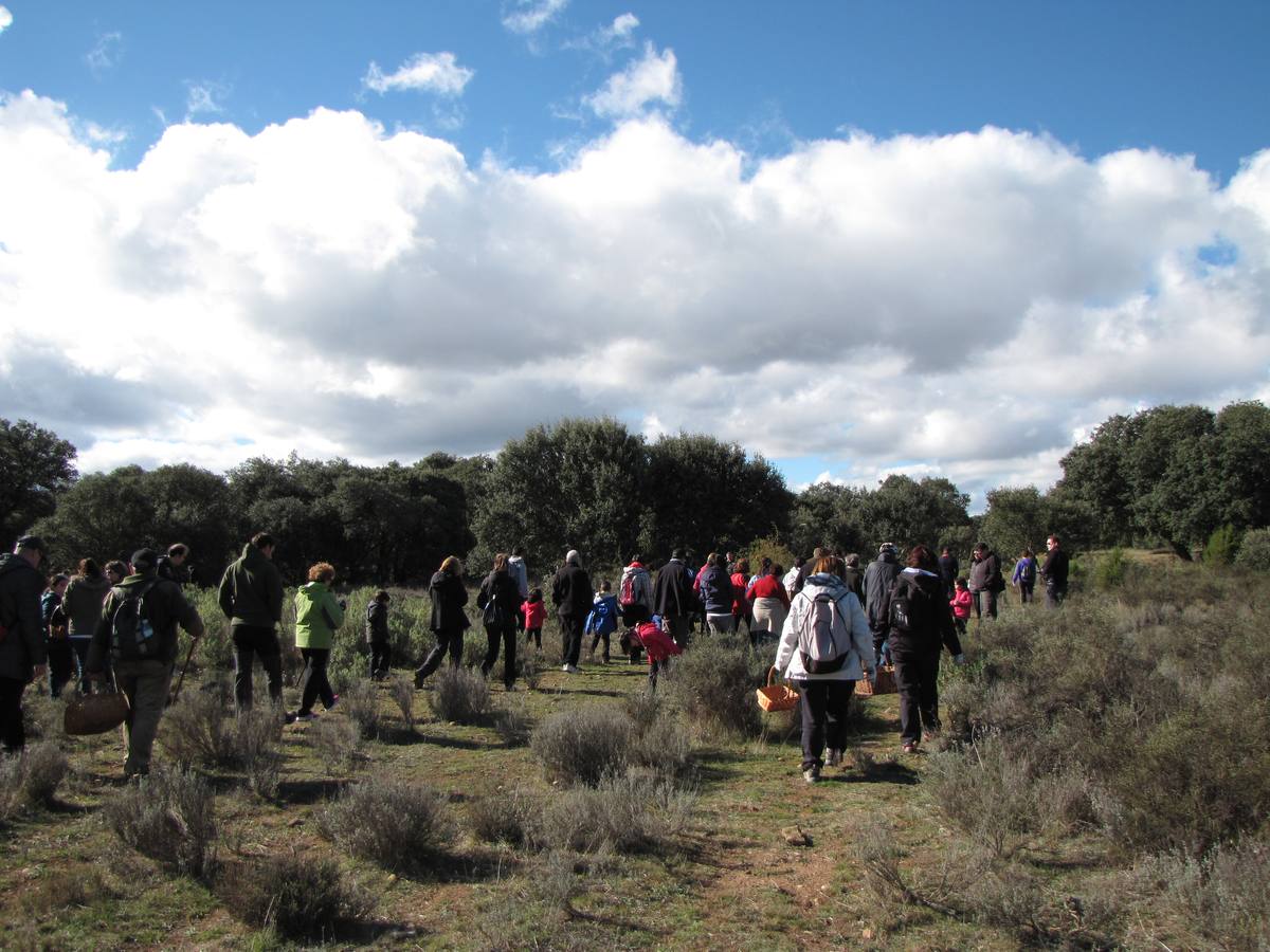 XXI Jornadas micológicas de Villarroya (I)