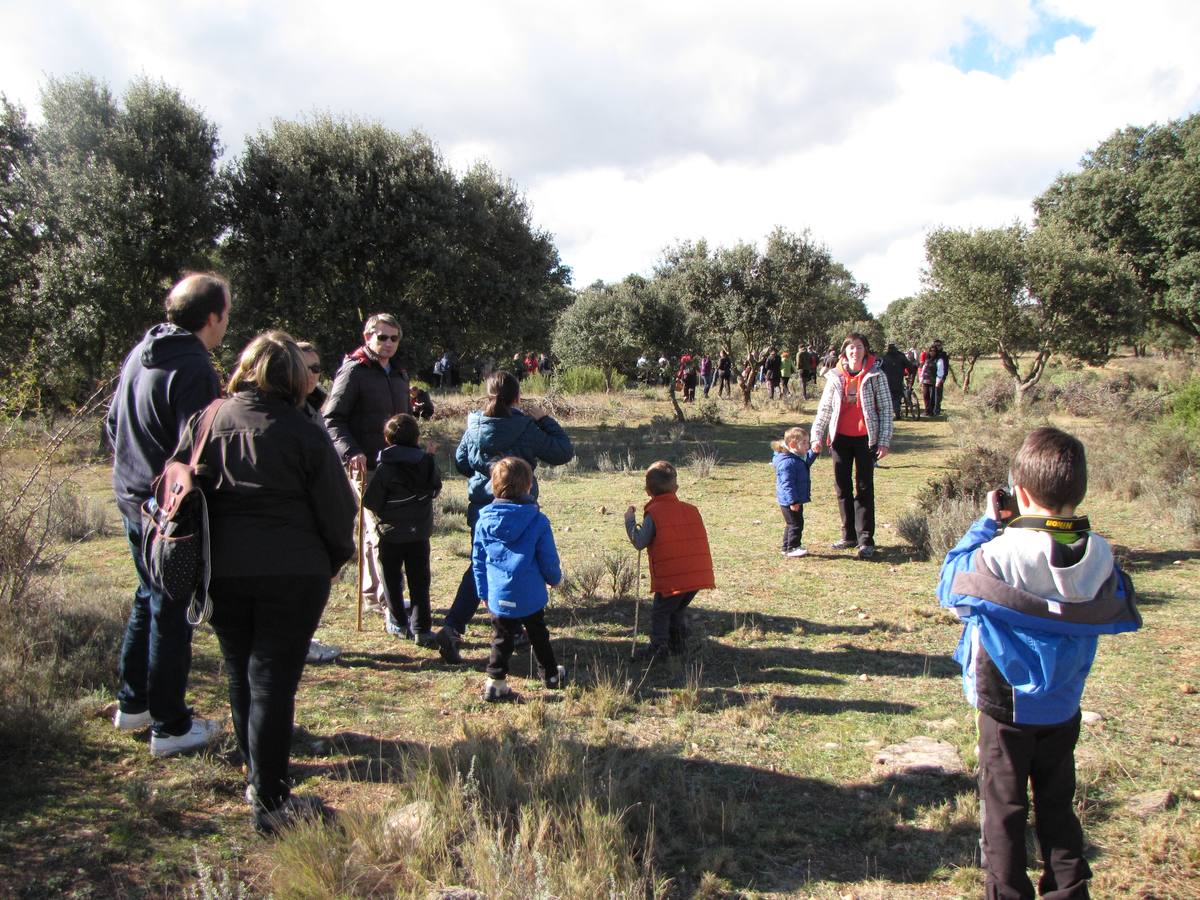 XXI Jornadas micológicas de Villarroya (I)