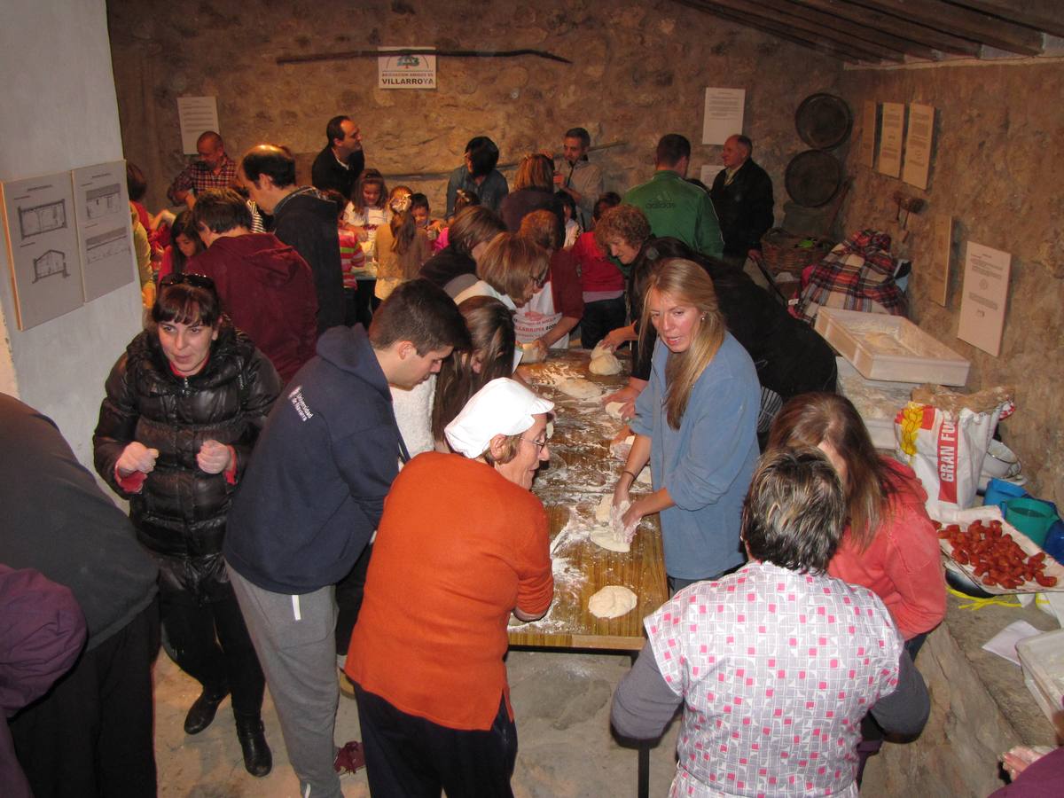 XXI Jornadas micológicas de Villarroya (II)