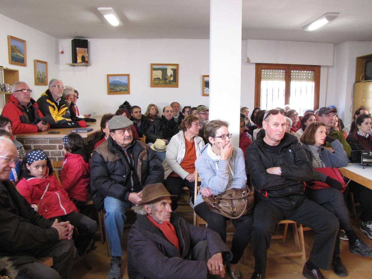 XXI Jornadas micológicas de Villarroya (II)