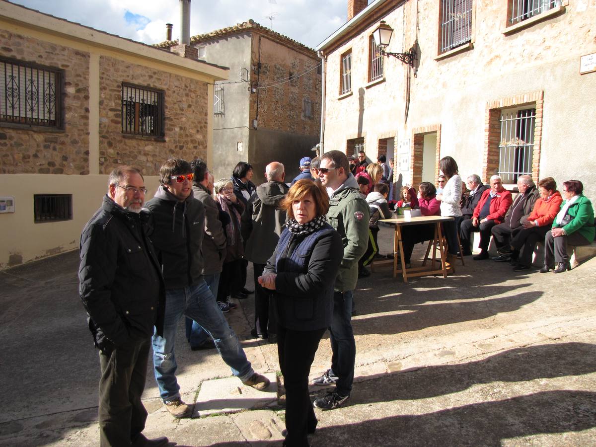 XXI Jornadas micológicas de Villarroya (II)