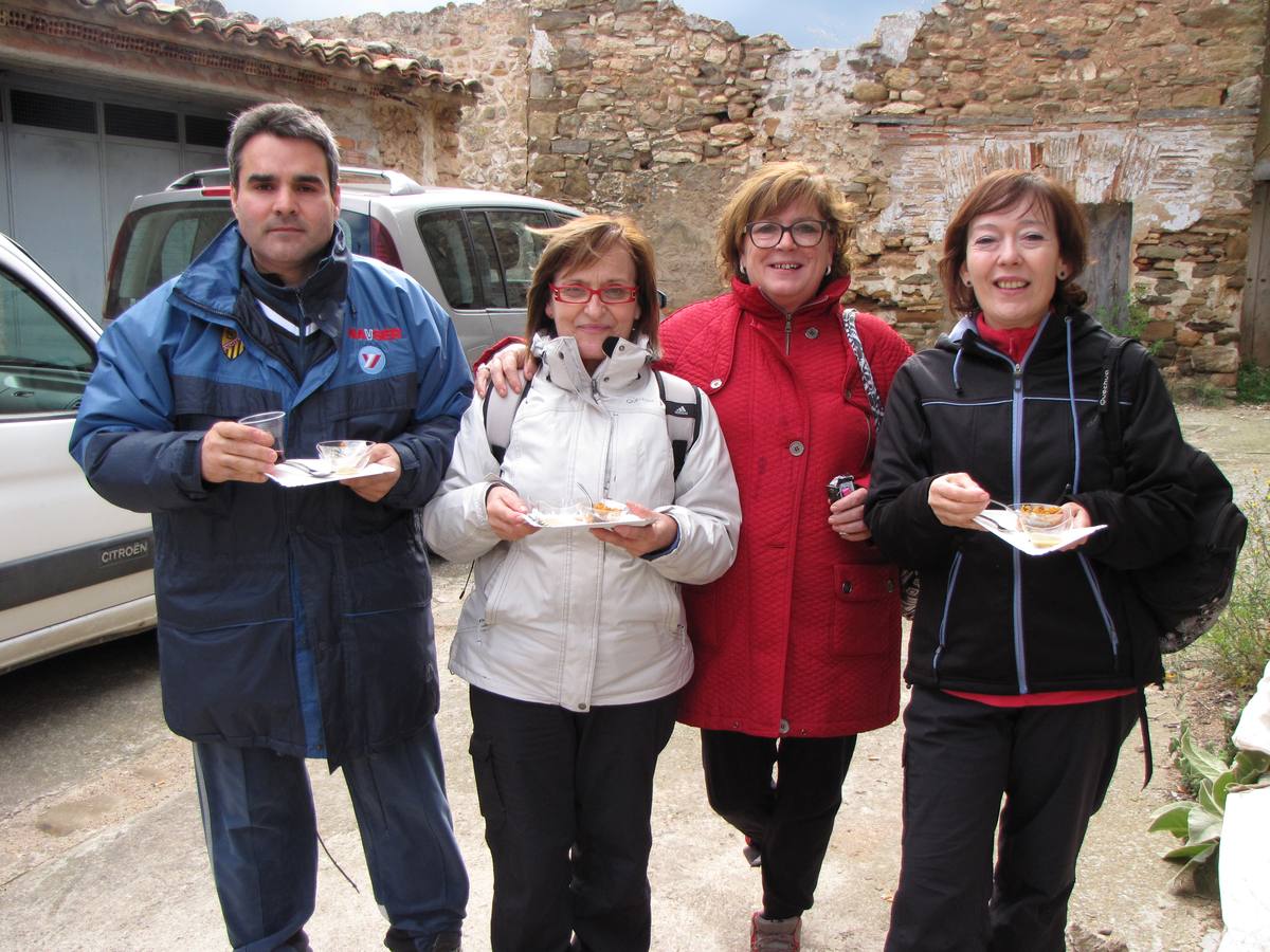 XXI Jornadas micológicas de Villarroya (II)