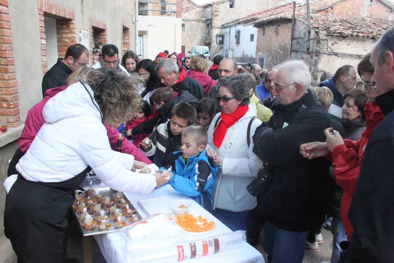 XXI Jornadas Micológicas de Villarroya (III)
