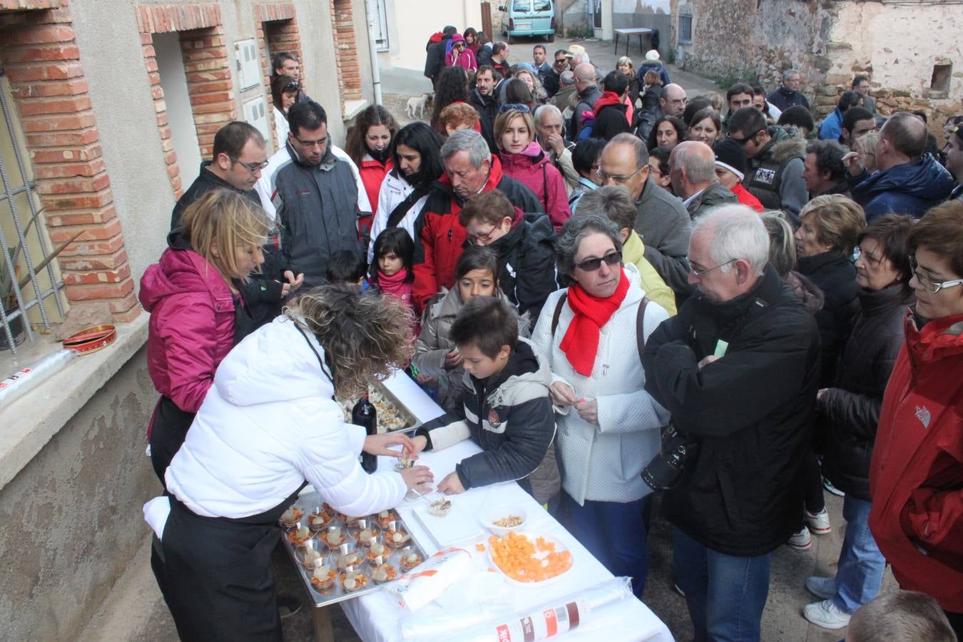 XXI Jornadas Micológicas de Villarroya (III)