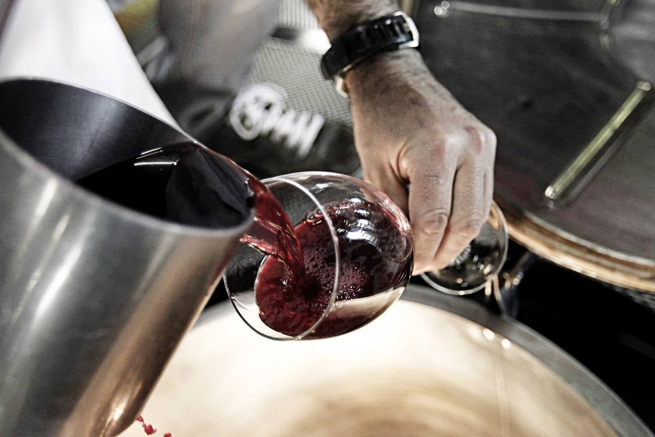 Vino antes de ser vino