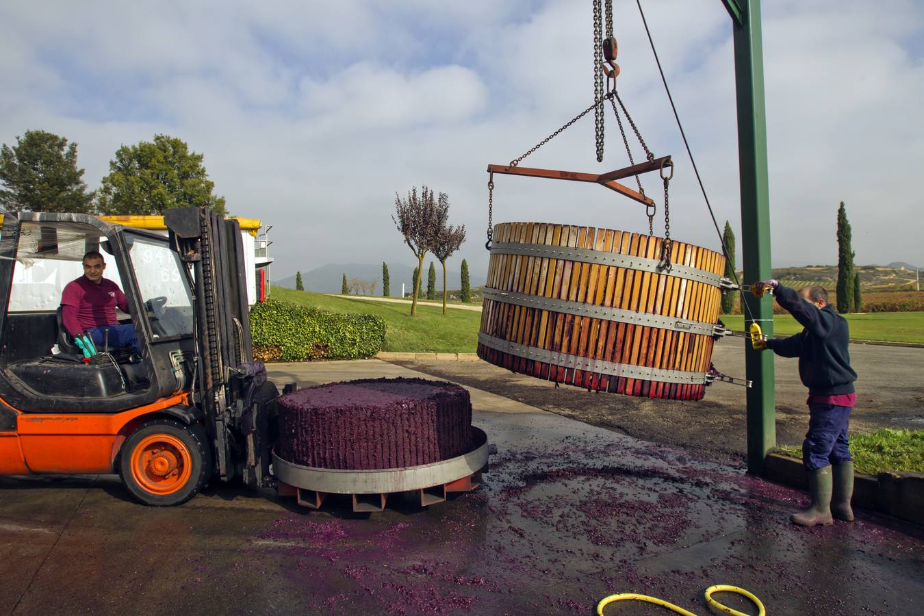 Vino antes de ser vino