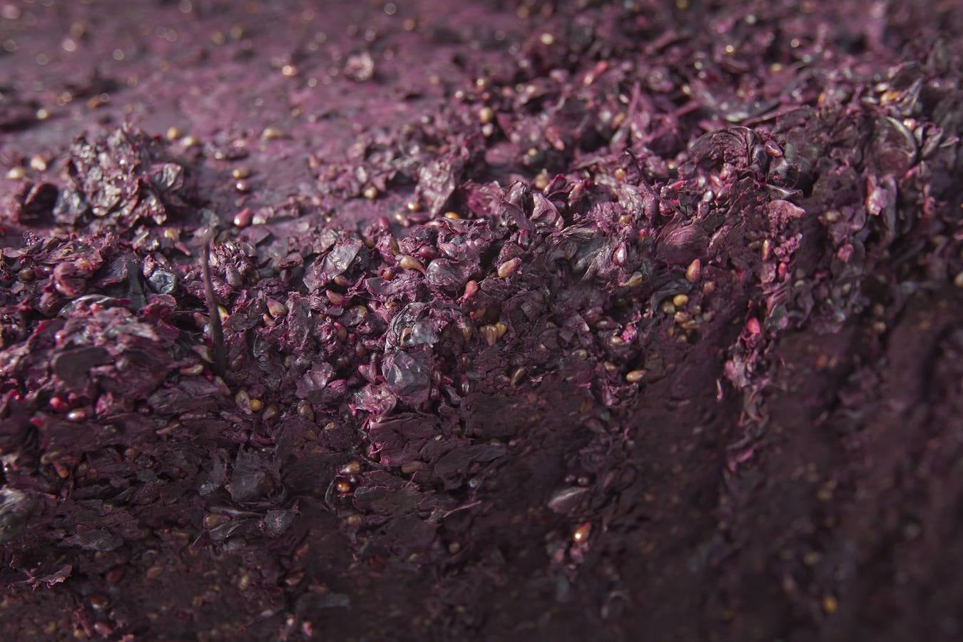 Vino antes de ser vino