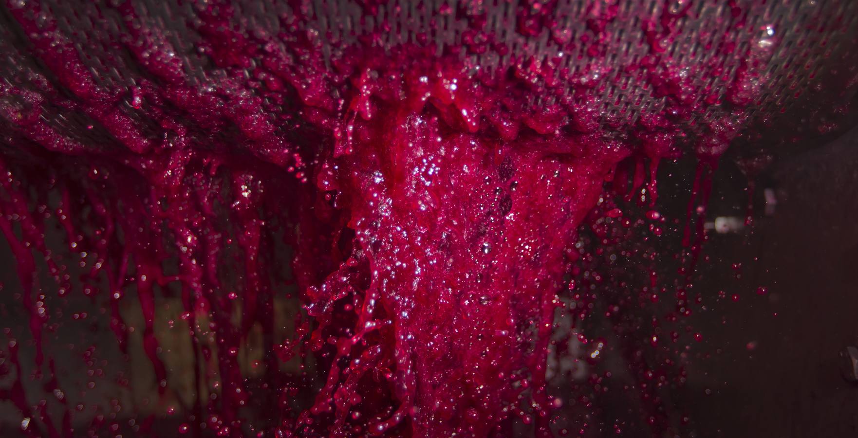 Vino antes de ser vino