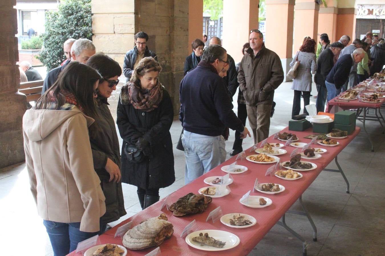 Jornadas micológicas en Alfaro