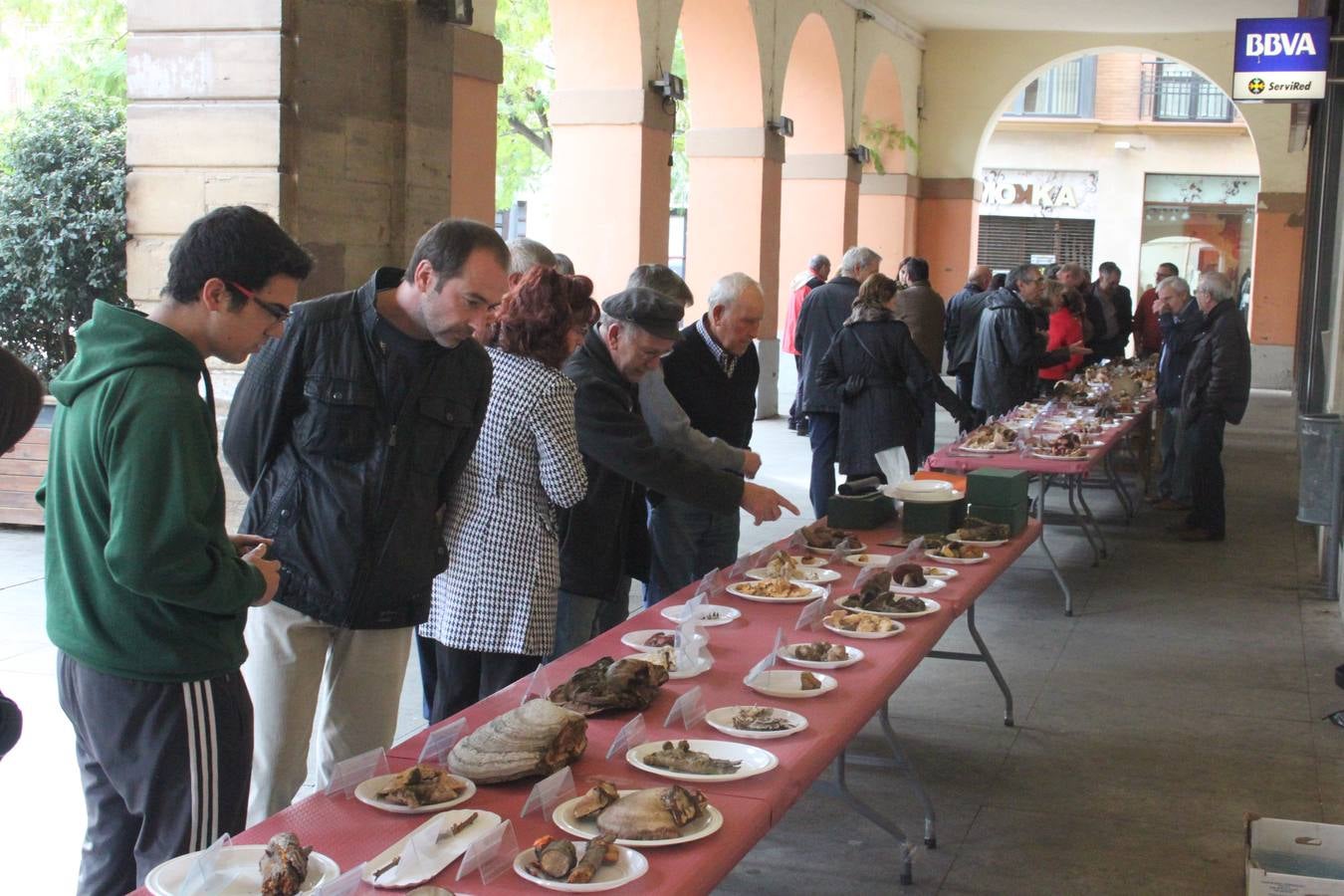 Jornadas micológicas en Alfaro