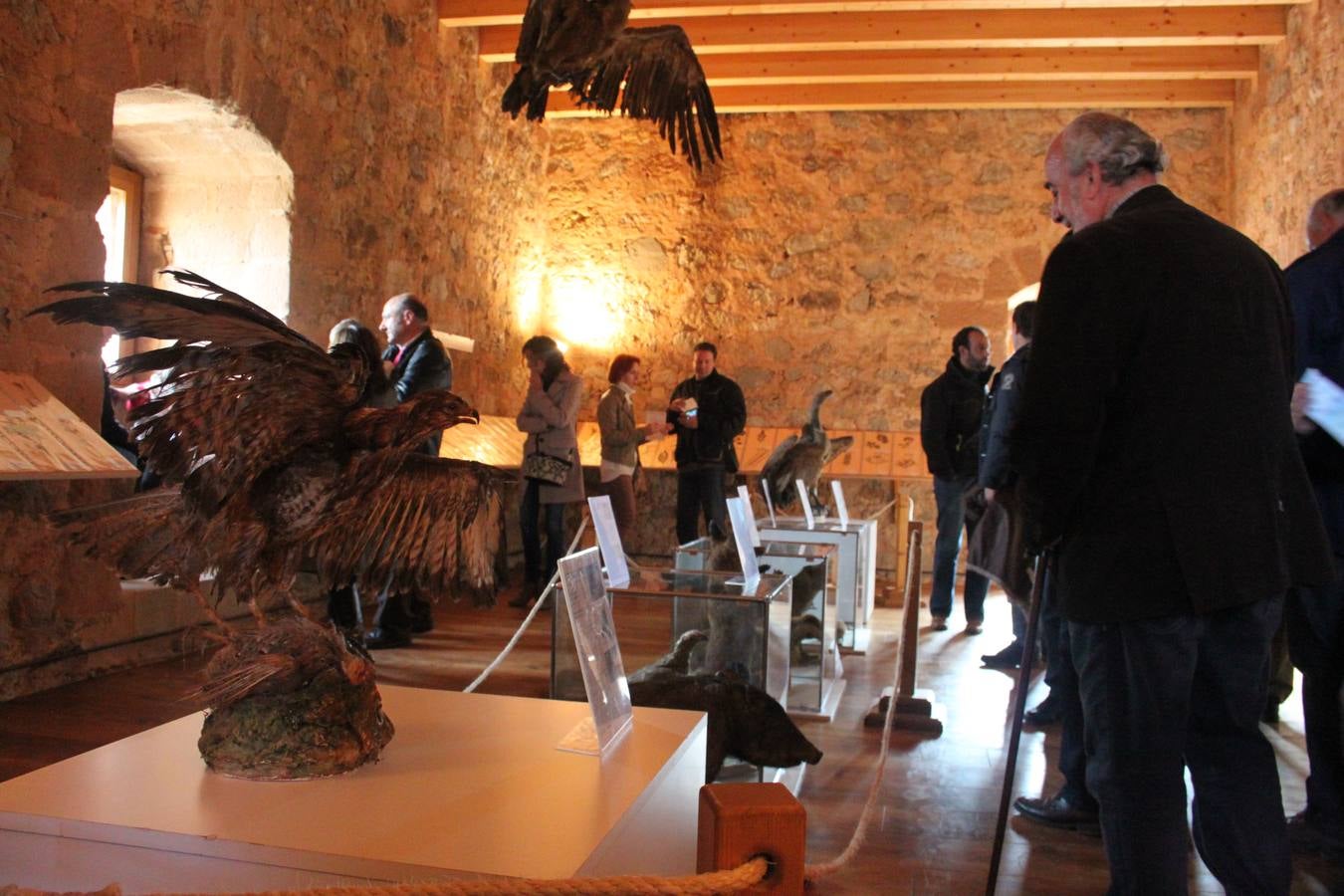 Inauguración de la cuarta fase del castillo de Préjano