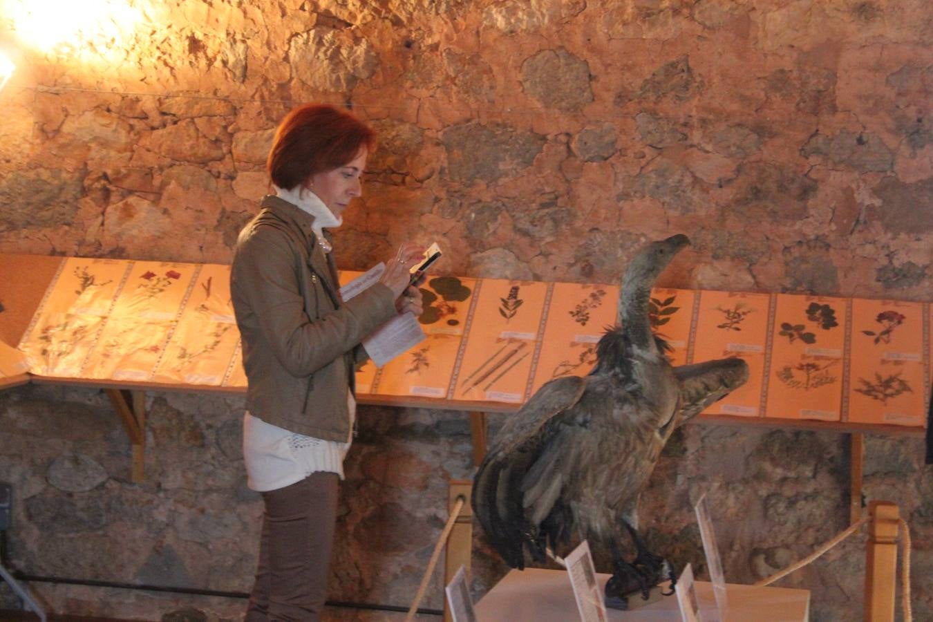 Inauguración de la cuarta fase del castillo de Préjano