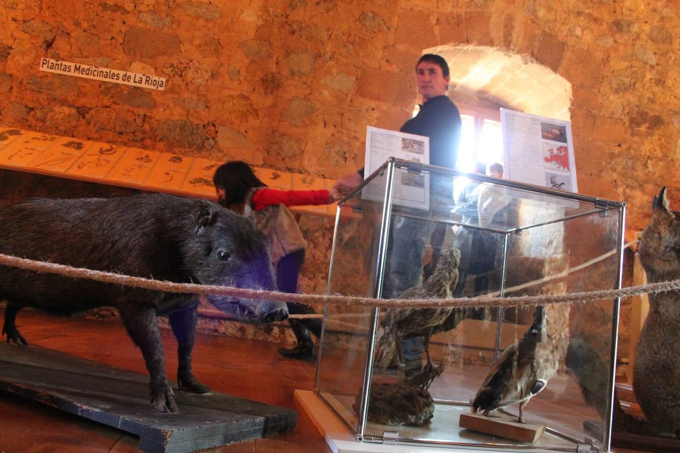 Inauguración de la cuarta fase del castillo de Préjano