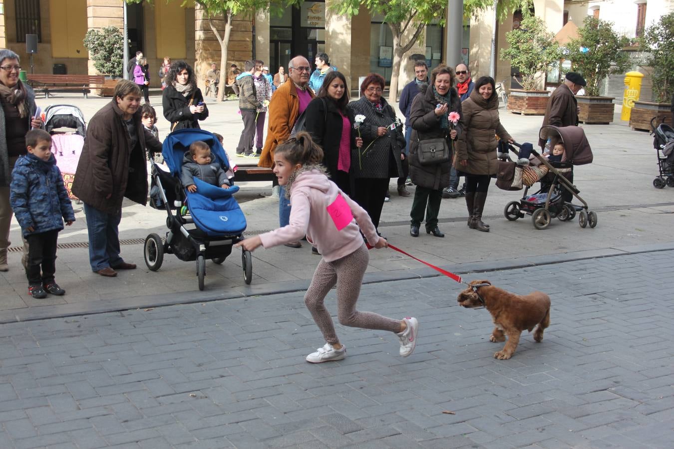 I Cani cross ciudad de Alfaro