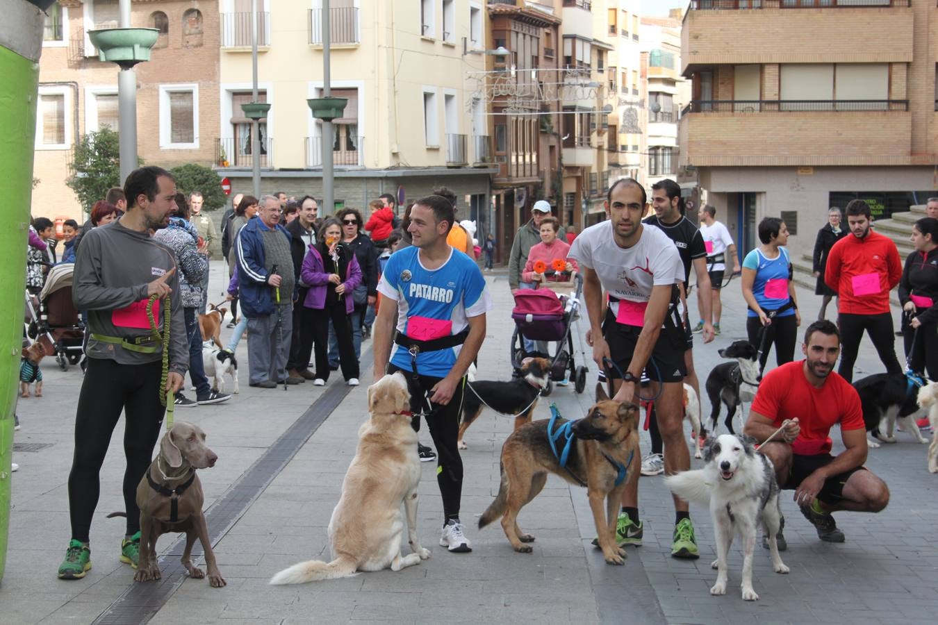 I Cani cross ciudad de Alfaro