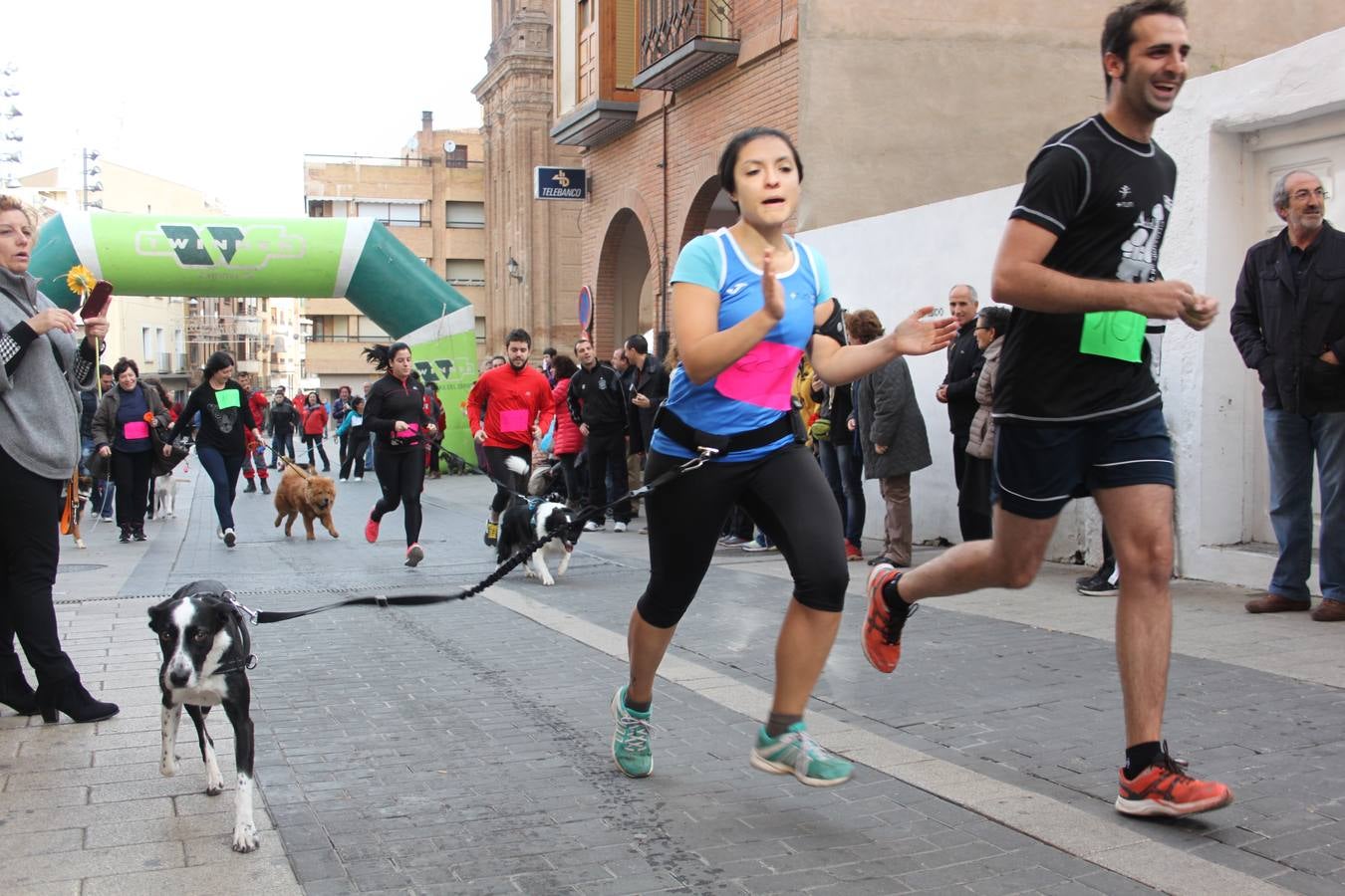 I Cani cross ciudad de Alfaro