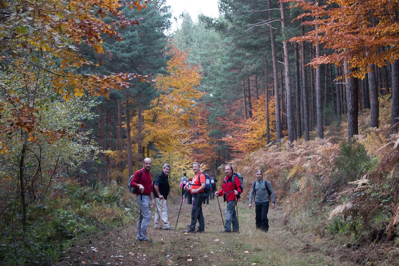 I Marcha Sampol Experience. El otoño calceatense en todo su esplendor