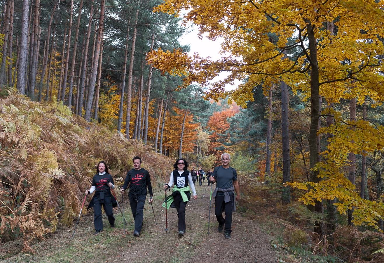 I Marcha Sampol Experience. El otoño calceatense en todo su esplendor