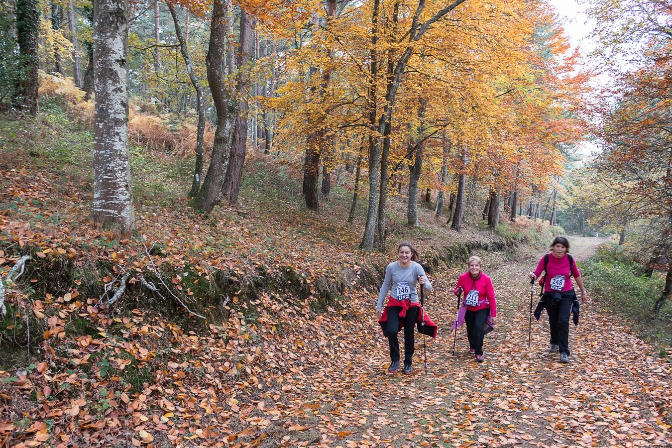 I Marcha Sampol Experience. El otoño calceatense en todo su esplendor