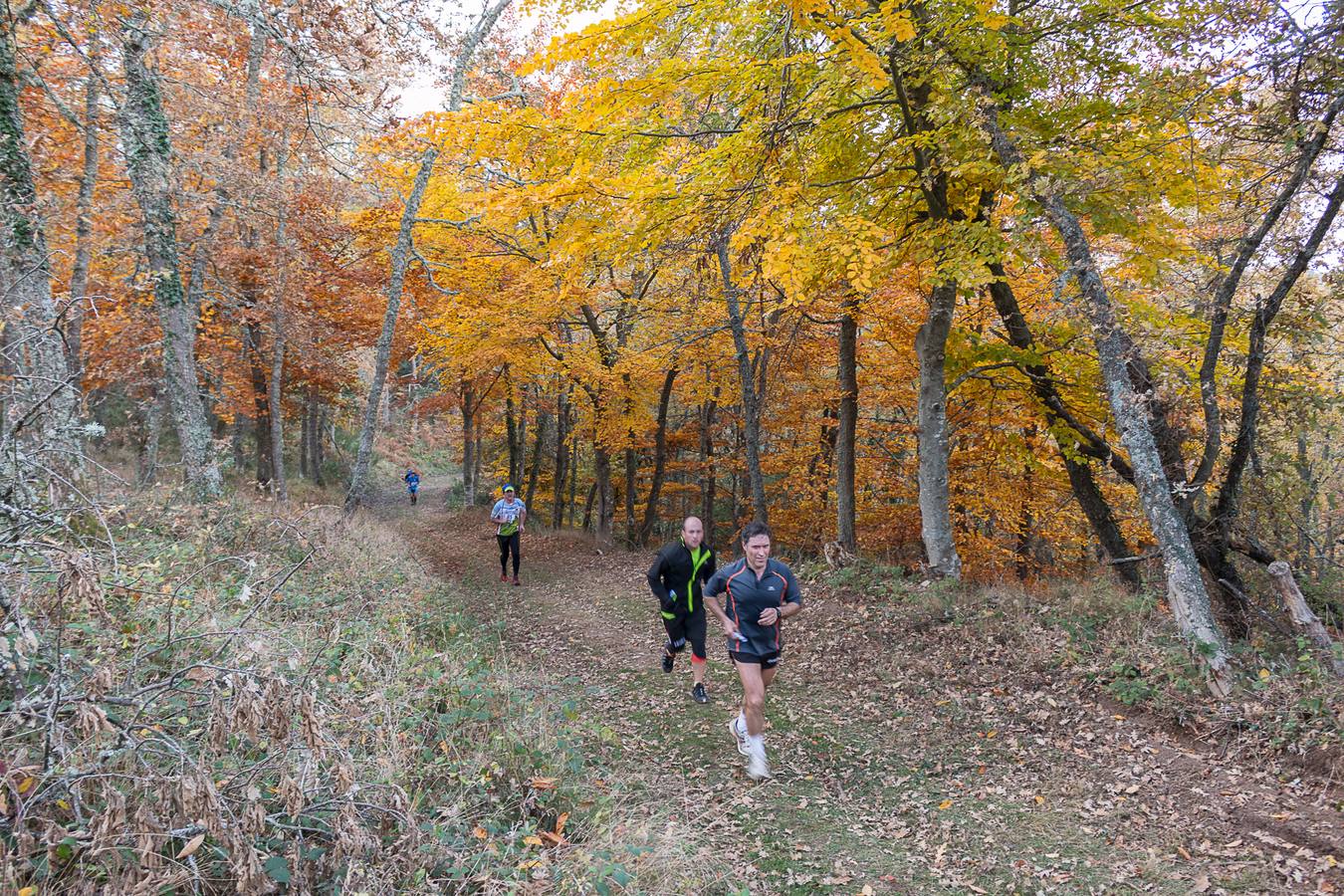 I Marcha Sampol Experience. El otoño calceatense en todo su esplendor