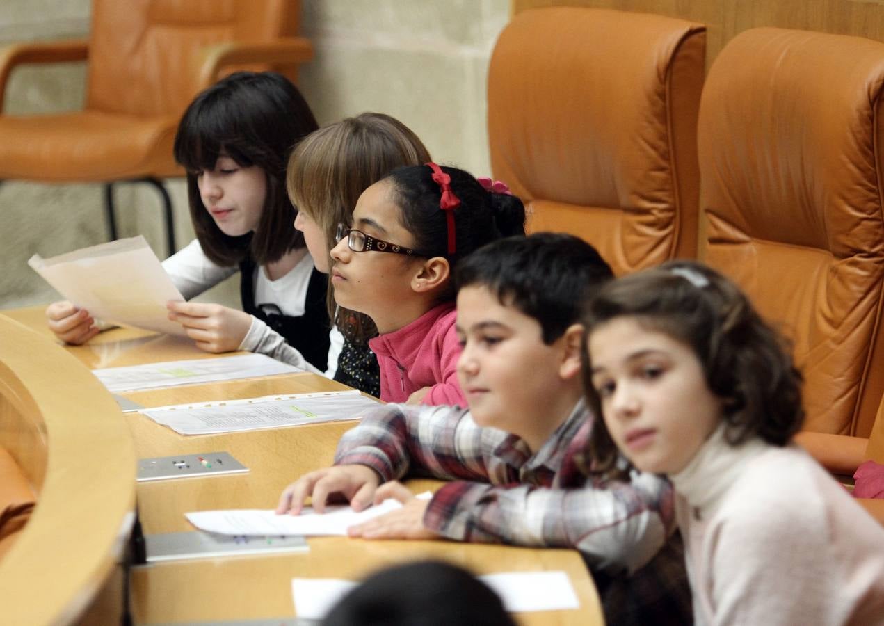 El Parlamento riojano acoge la lectura de la Constitución