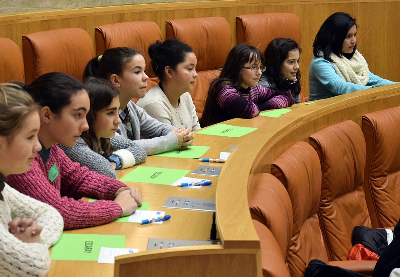 Aldeas Infantiles lleva a los escolares al Parlamento