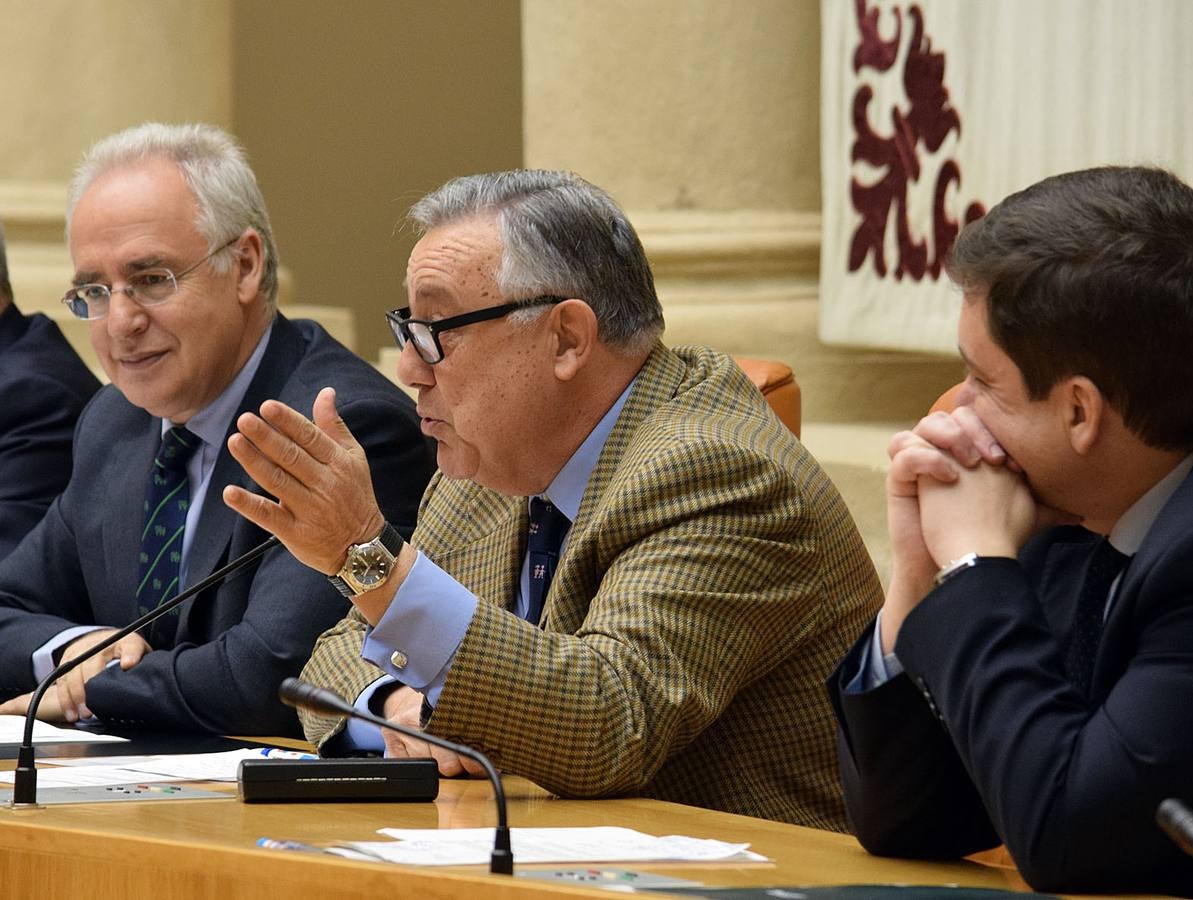 Aldeas Infantiles lleva a los escolares al Parlamento