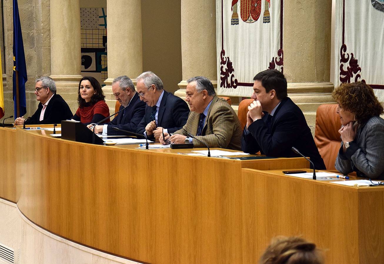 Aldeas Infantiles lleva a los escolares al Parlamento