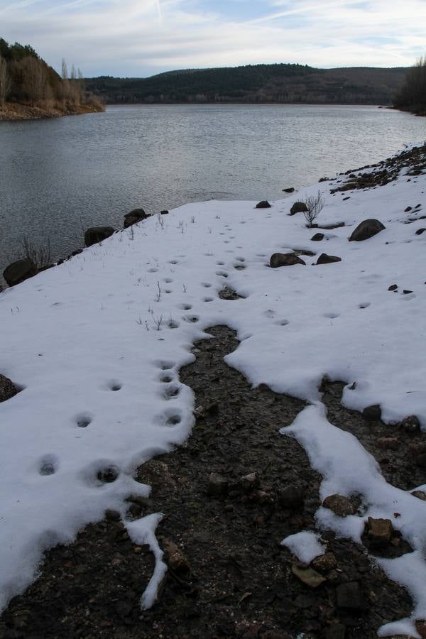 Postales de invierno