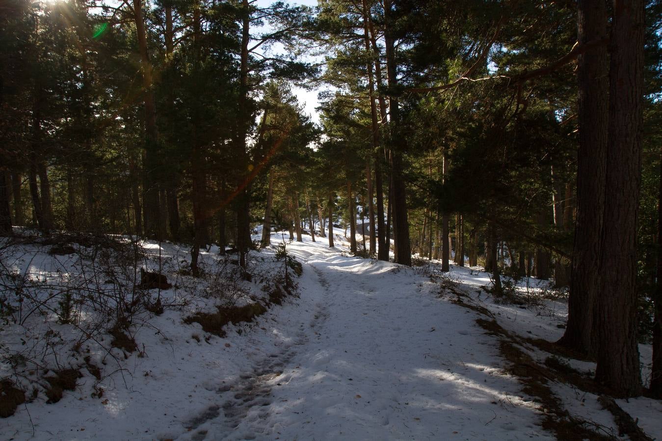 Postales de invierno
