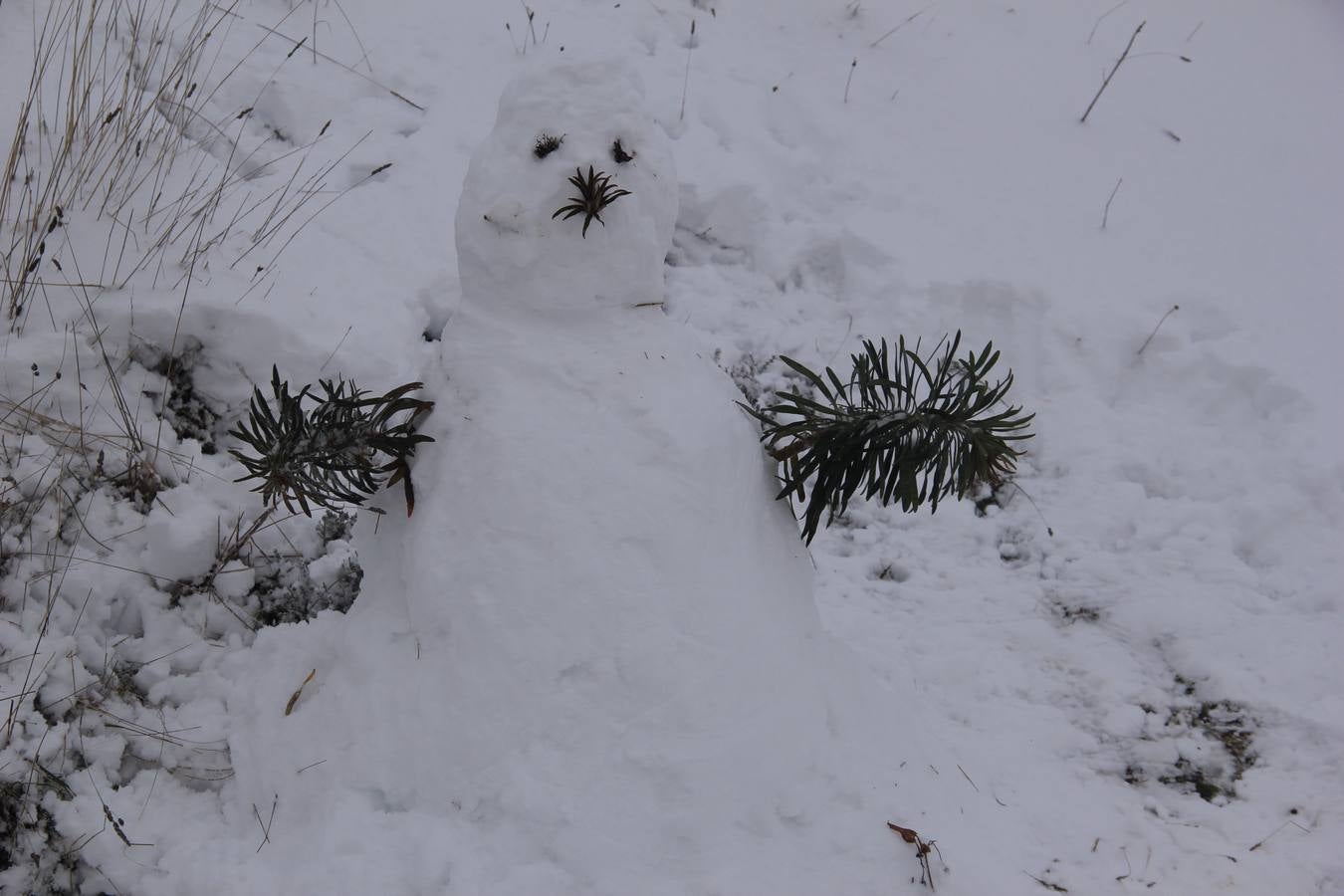 Clavijo, nevado