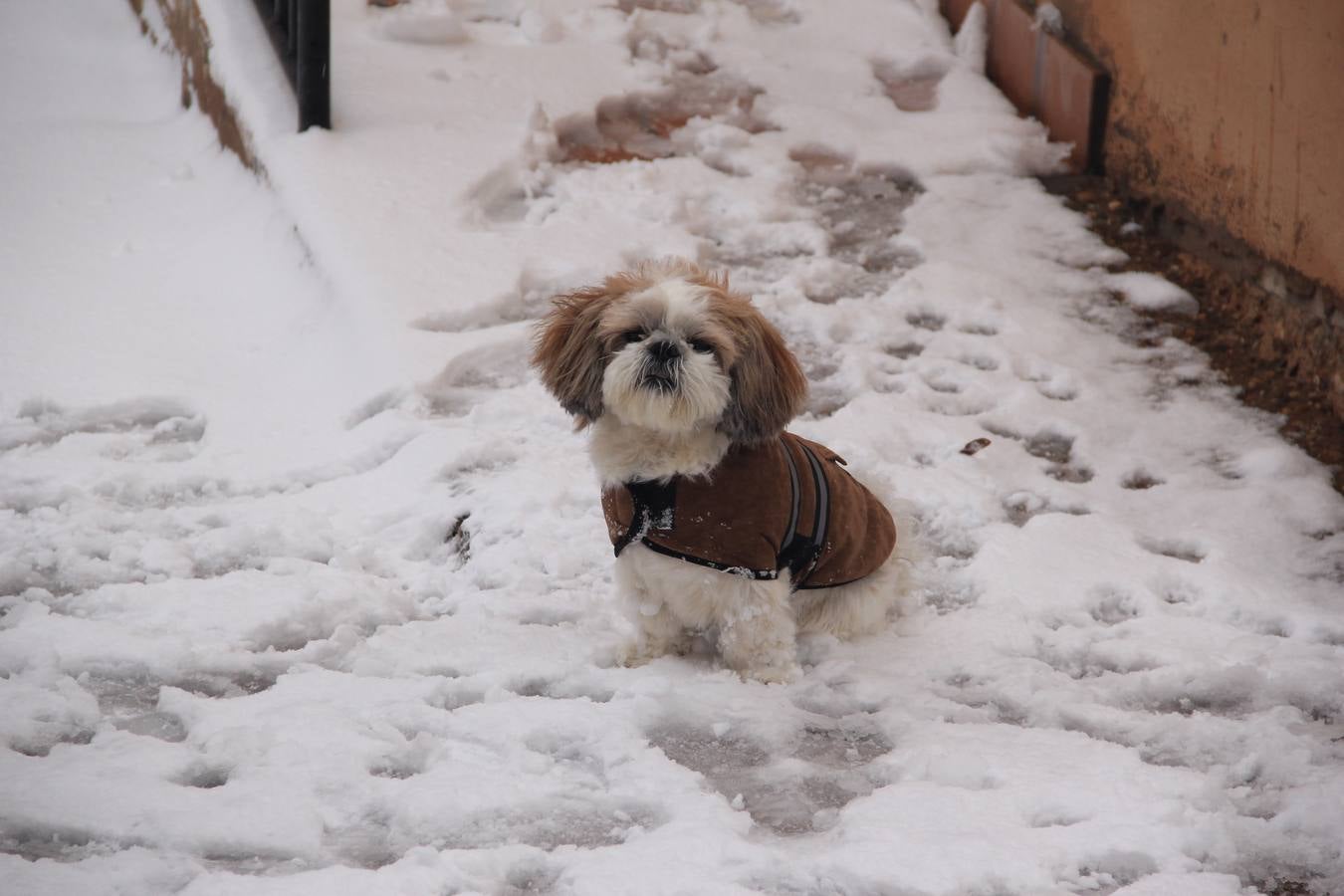 Clavijo, nevado