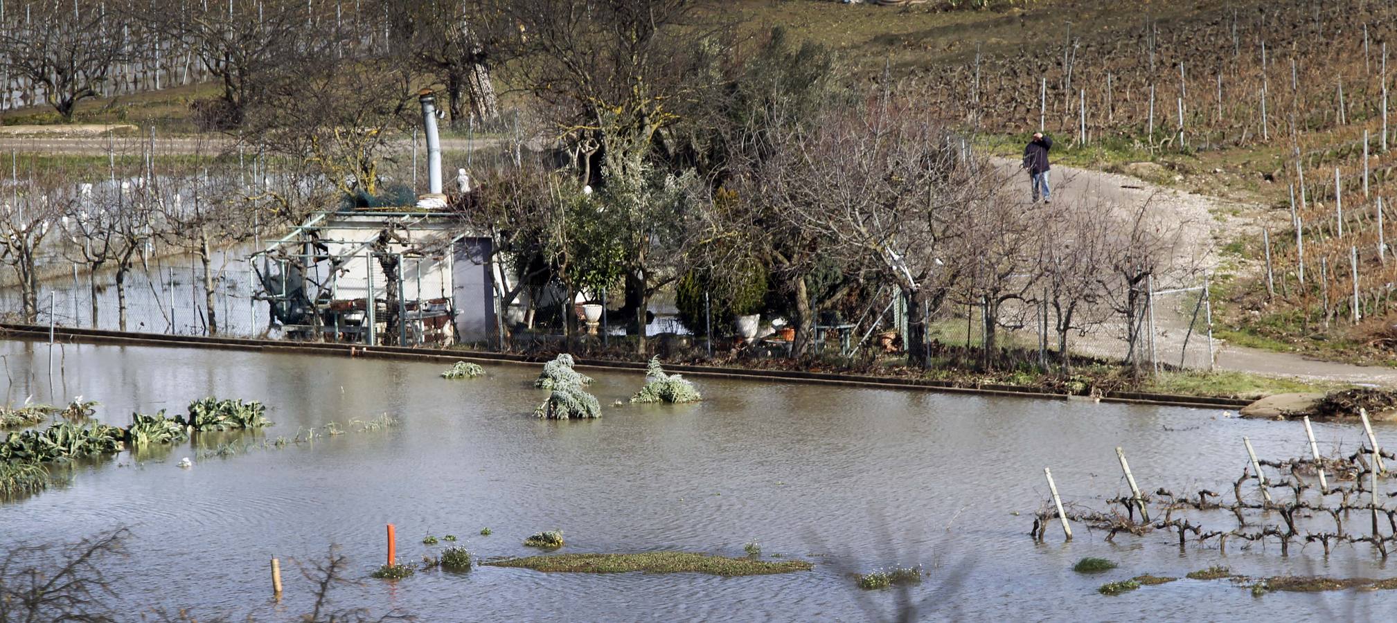 Los efectos del temporal