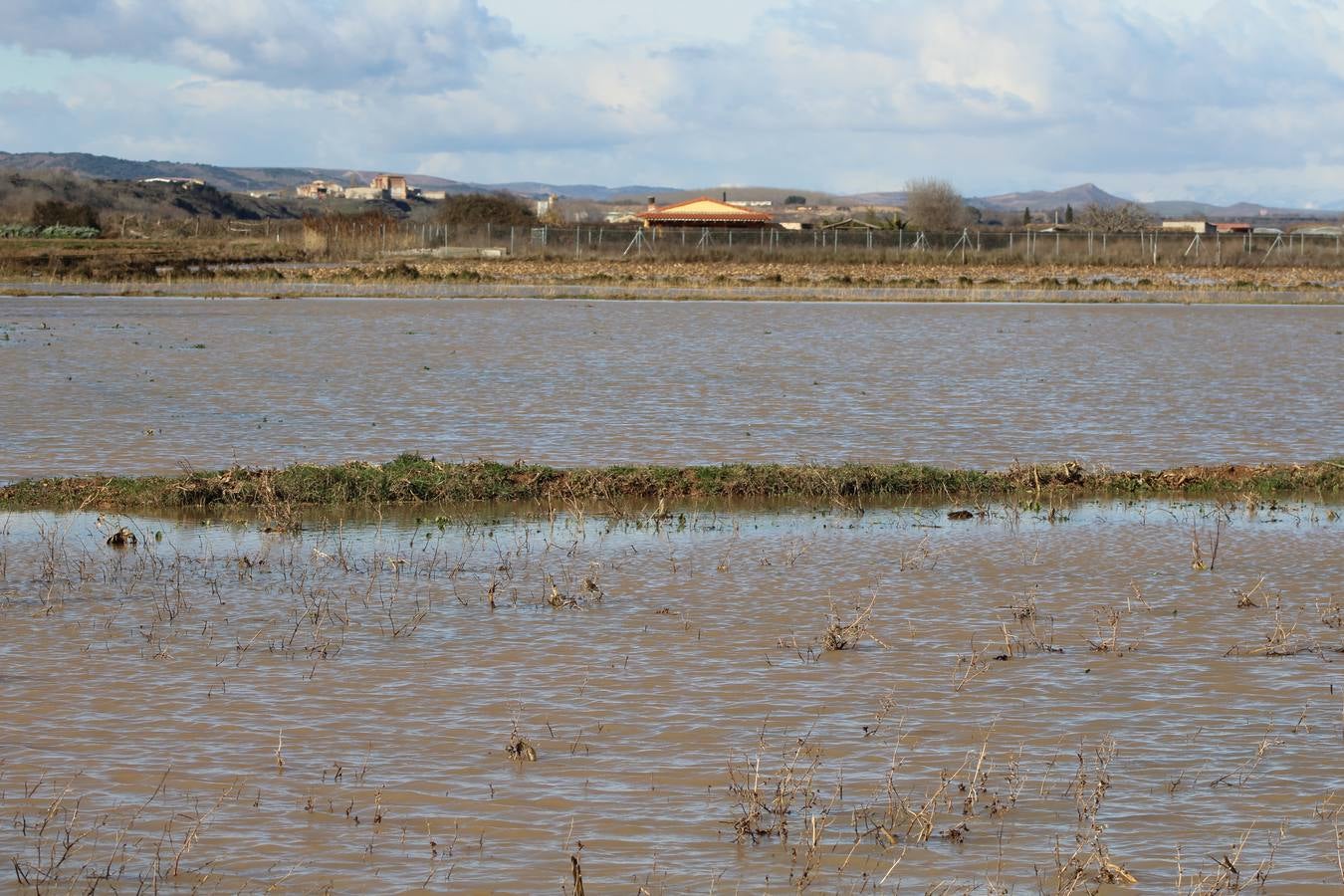 Los campos de Calahorra, anegados tras la riada