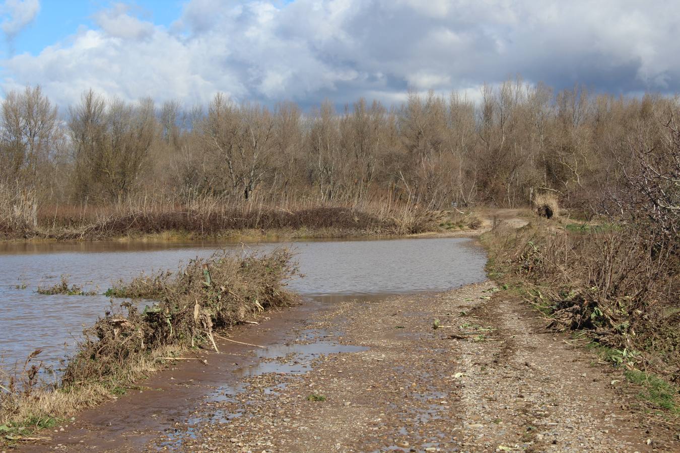 Los campos de Calahorra, anegados tras la riada