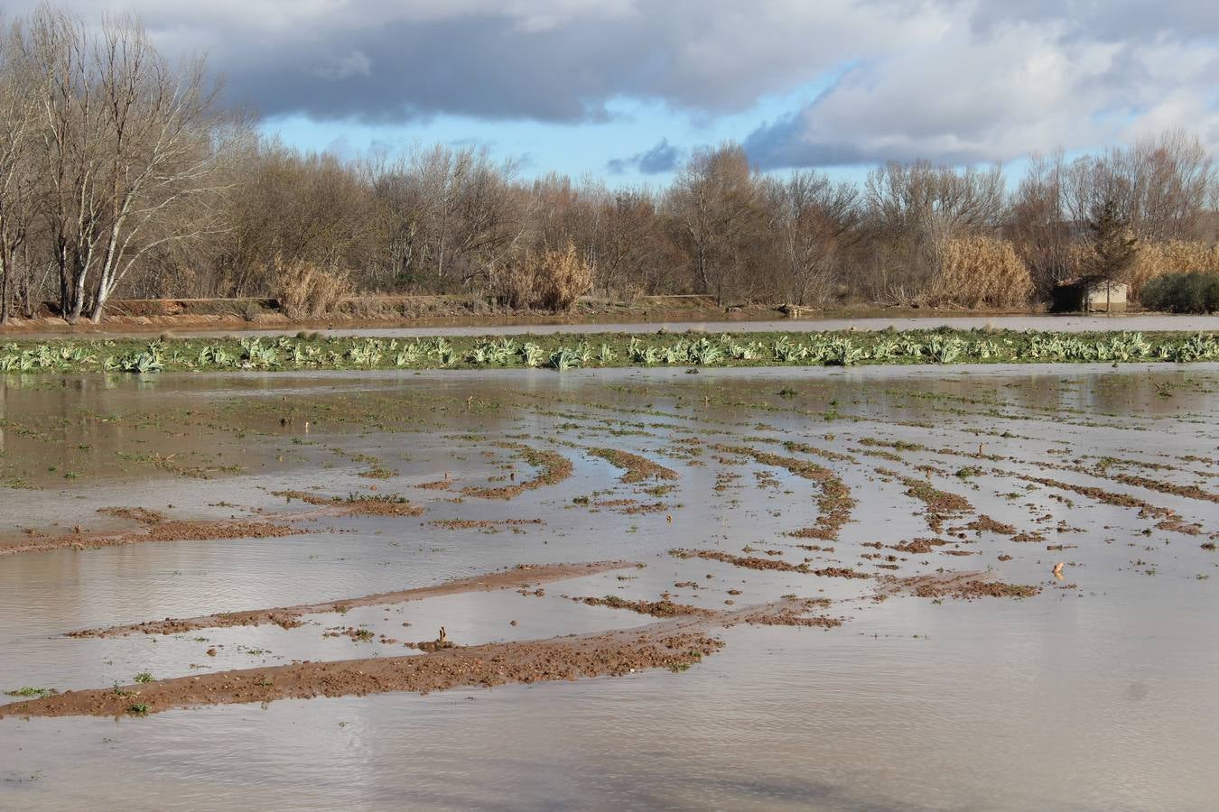 Los campos de Calahorra, anegados tras la riada