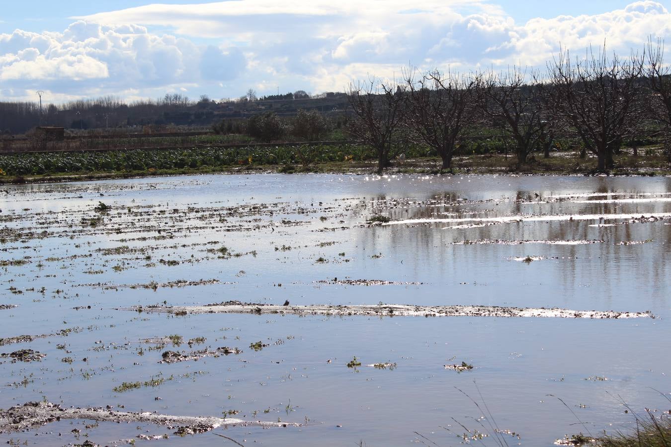 Los campos de Calahorra, anegados tras la riada