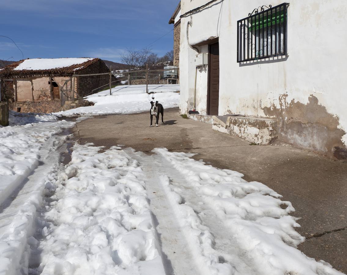 Las calles se hielan en Muro en Cameros